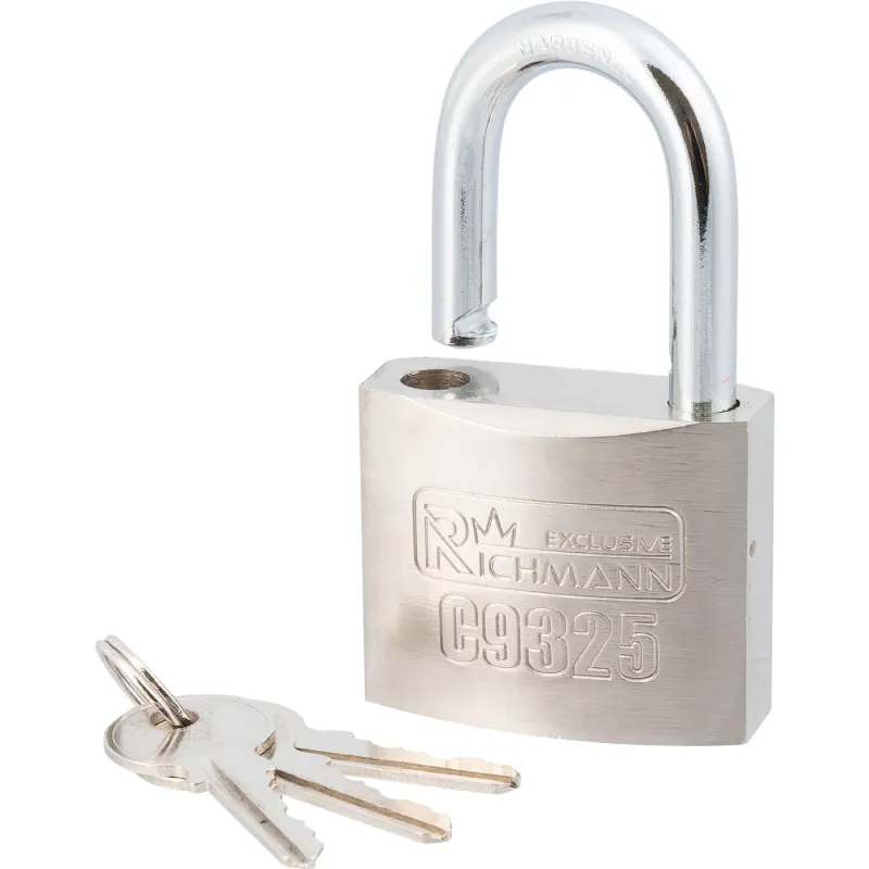 Richmann Sudraba krāsas slēdzene 50 mm