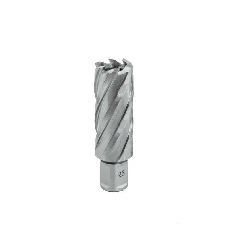Kronveida urbis HSS 20x55 mm. EUROBOOR