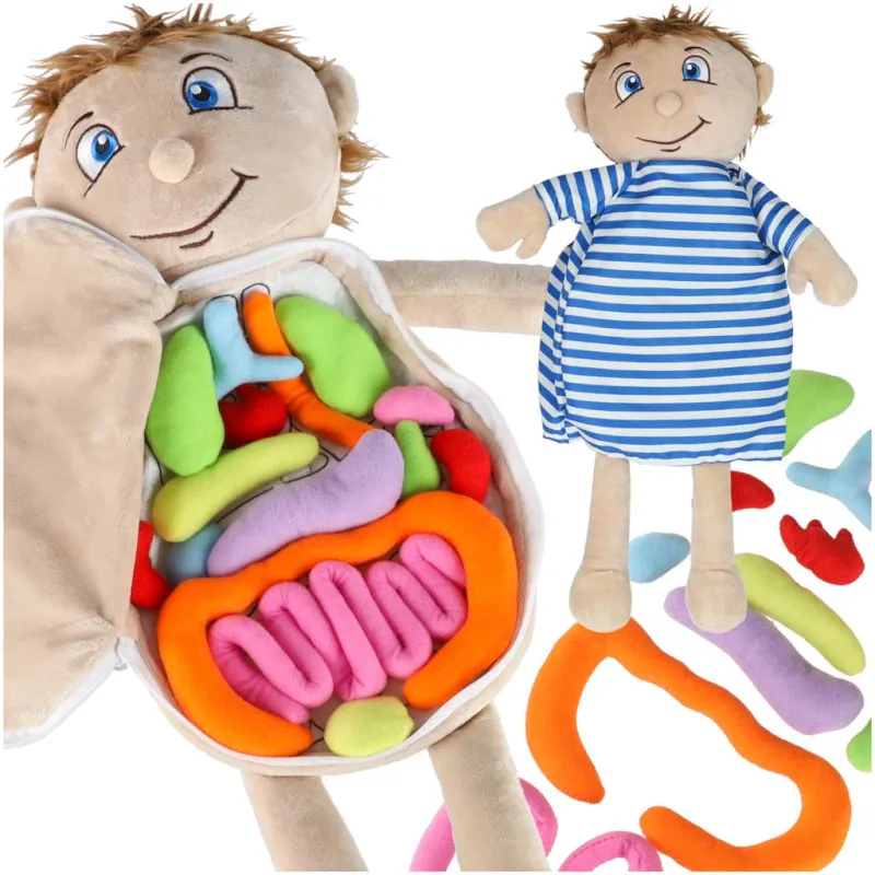 Ikonka Maskot lelle, kas mācās anatomiju