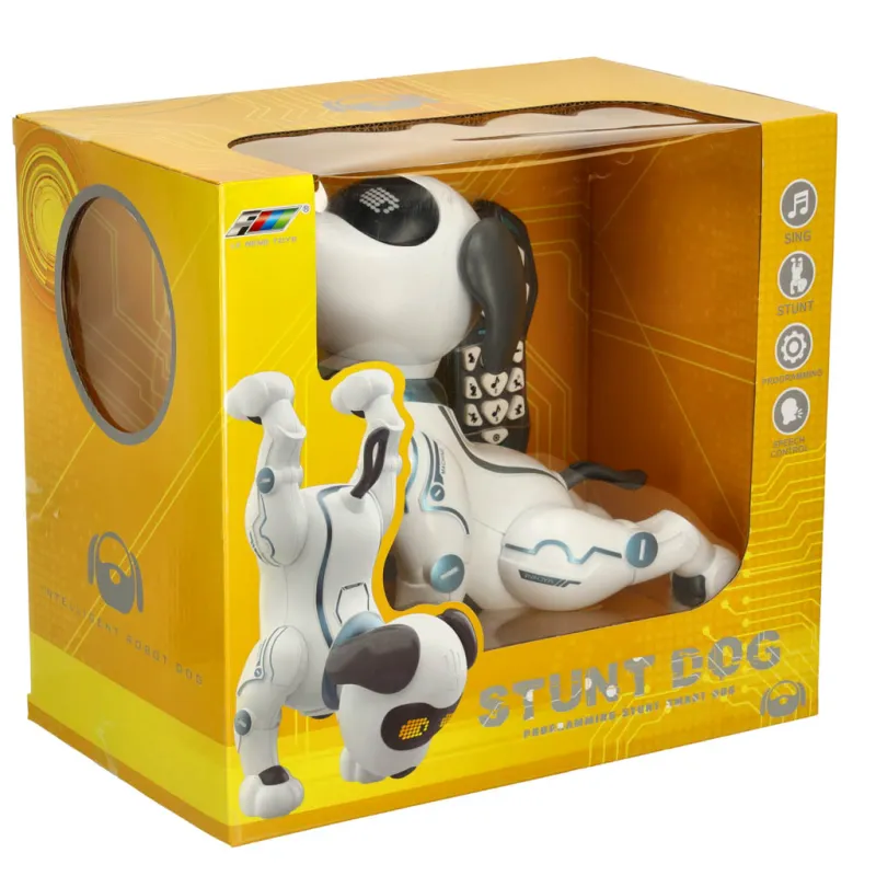 Ikonka RC robots suns lec pastaigas