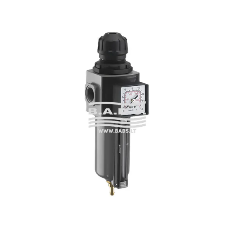 Spiediena regulators E/24/3/P 1/2"F (AH116904