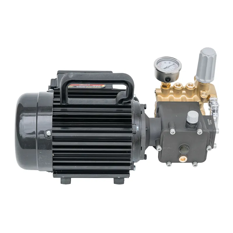 Elektriskais augstspiediena tīrītājs Waspper W2200EA, 2